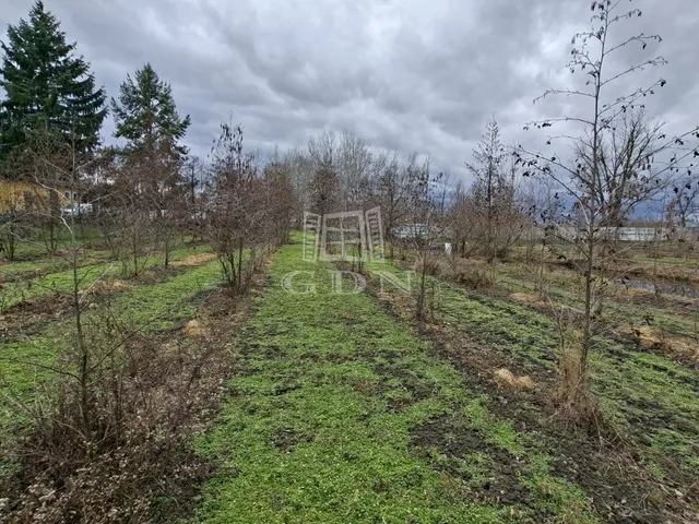 Eladó mezőgazdasági ingatlan Nagyigmánd 8440 nm
