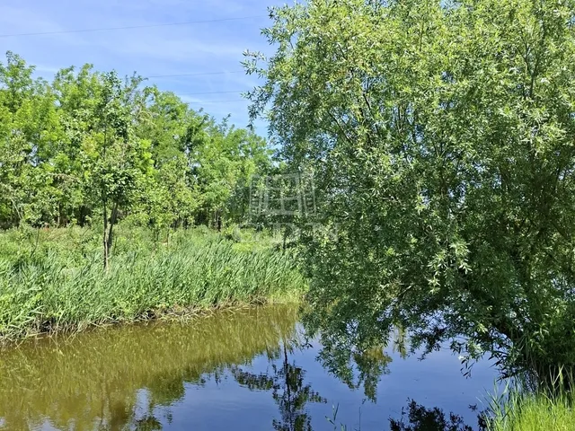 Eladó mezőgazdasági ingatlan Nagyigmánd 8440 nm