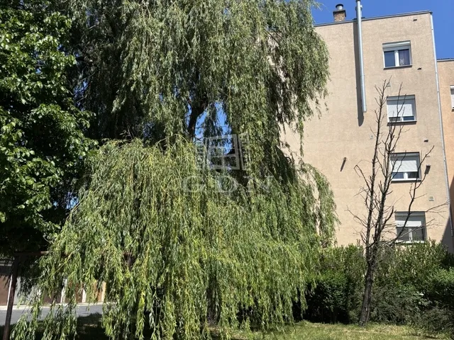 Kiadó lakás Komárom 62 nm