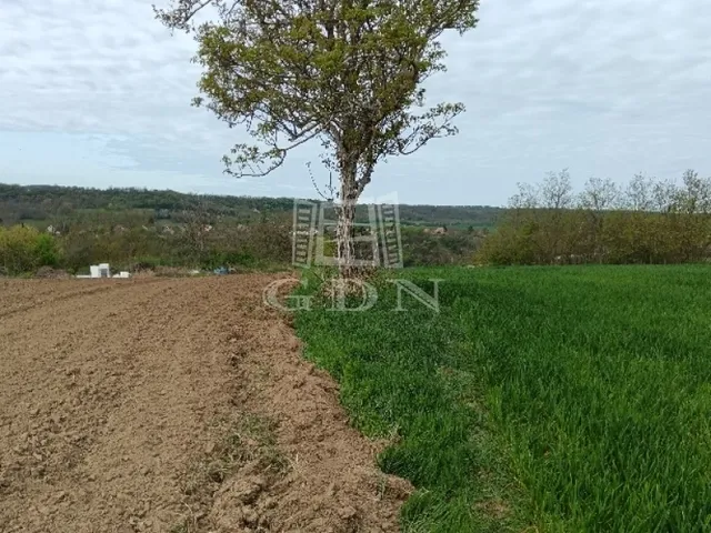 Eladó mezőgazdasági ingatlan Balatonendréd 3900 nm
