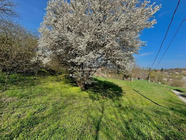 Eladó telek Nagyberény 1748 nm