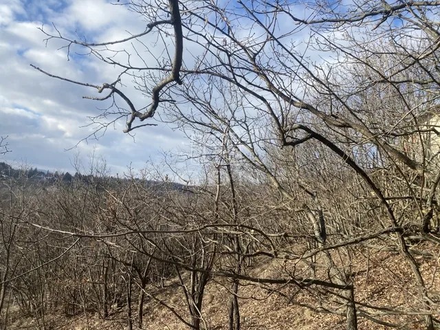 Eladó telek Szentendre, Tyúkosdűlő 752 nm