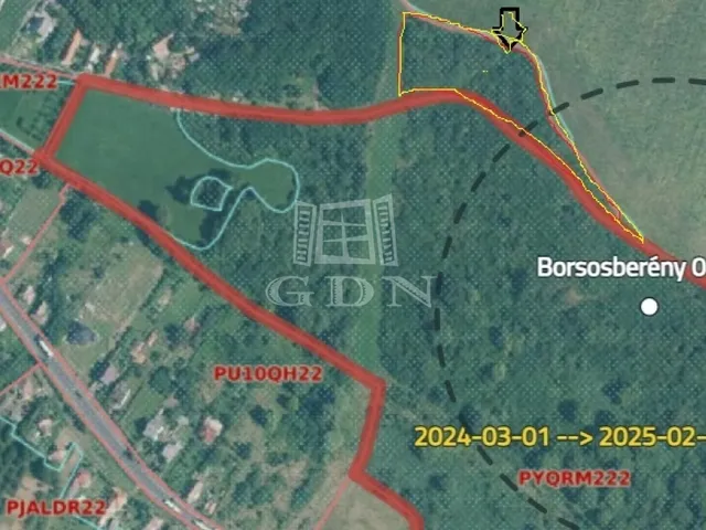 Eladó mezőgazdasági ingatlan Borsosberény 17113 nm