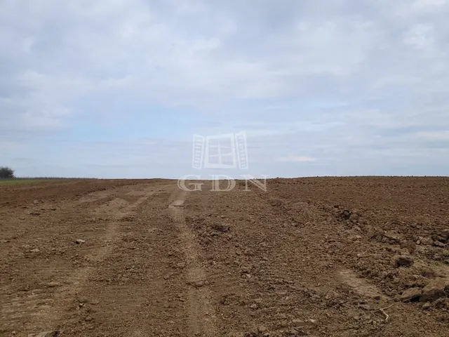 Eladó mezőgazdasági ingatlan Borsosberény 17113 nm