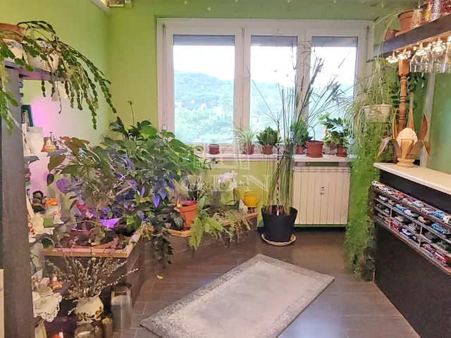 Eladó lakás Budapest III. kerület 51 nm