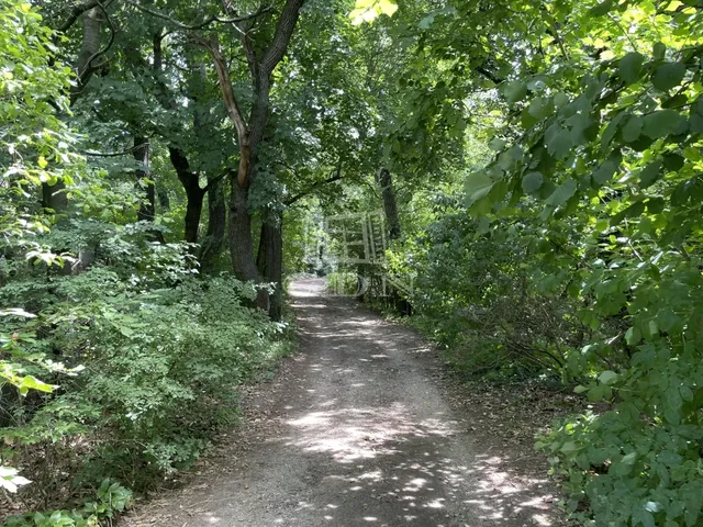 Eladó telek Budakeszi, Nagyszénászug 697 nm