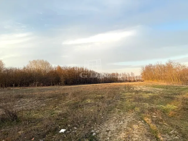 Eladó telek Helvécia 920 nm