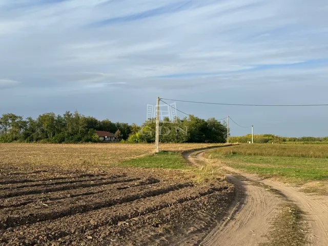 Eladó mezőgazdasági ingatlan Kecskemét, Méntelek 15946 nm