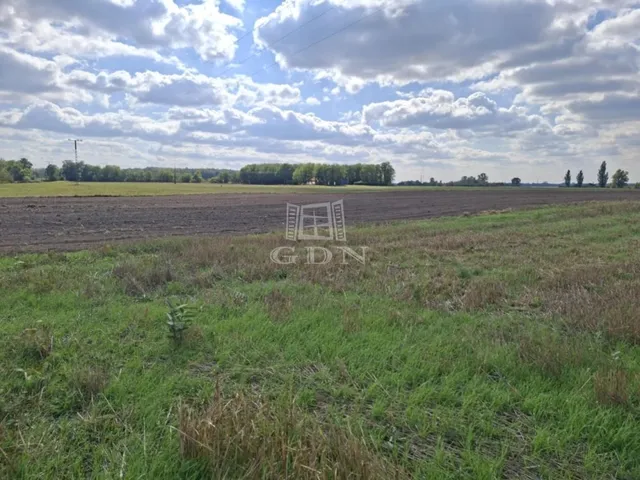 Eladó mezőgazdasági ingatlan Kerekegyháza 12000 nm