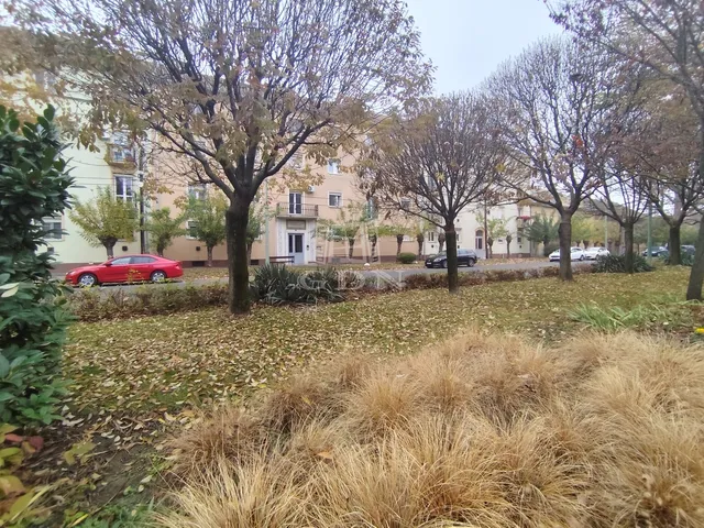 Eladó lakás Kiskunfélegyháza 49 nm