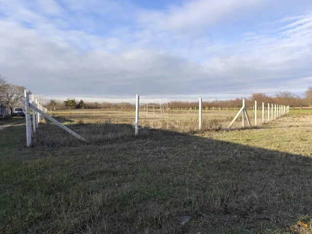 Eladó telek Kecskemét, Matkó 11364 nm