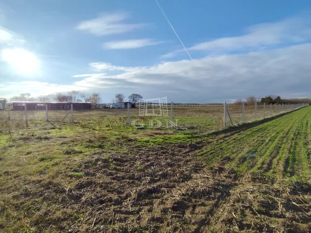 Eladó telek Kecskemét, Matkó 11364 nm