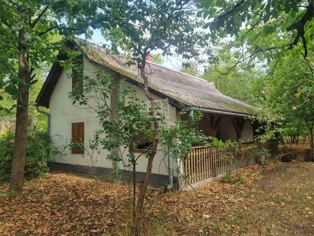 Eladó mezőgazdasági ingatlan Nyárlőrinc 70 nm