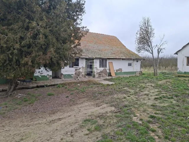 Eladó mezőgazdasági ingatlan Kecskemét 76 nm