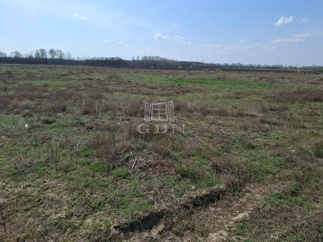 Eladó kereskedelmi és ipari ingatlan Ballószög 47766 nm