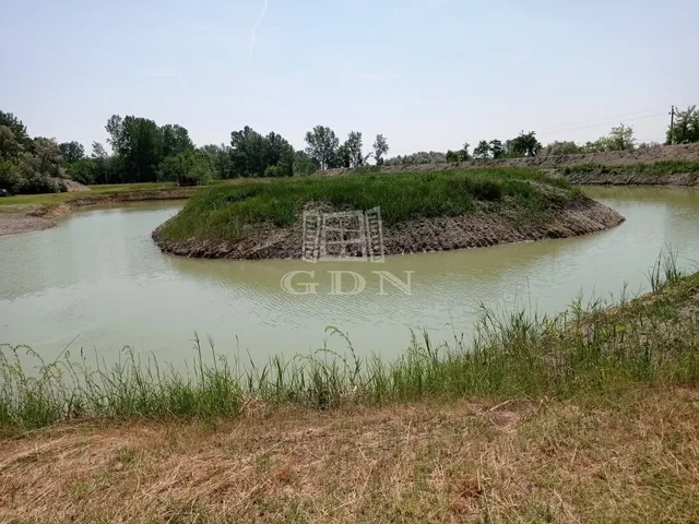 Eladó mezőgazdasági ingatlan Csengele 46000 nm