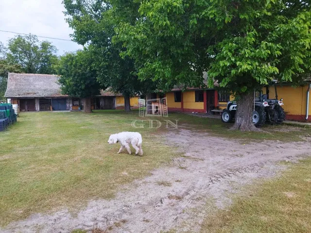 Eladó mezőgazdasági ingatlan Zákányszék 150 nm