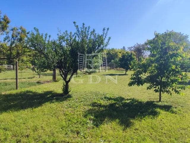 Eladó ház Újszentiván 130 nm