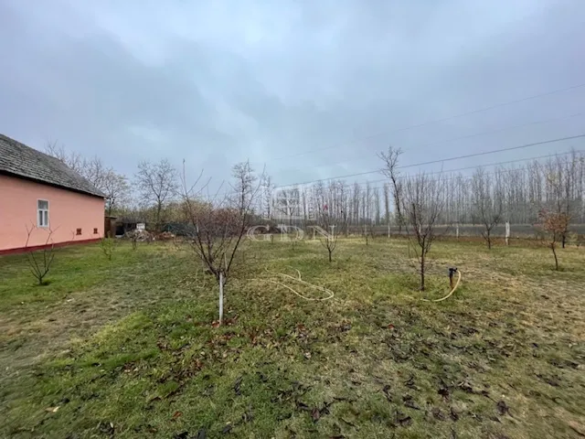 Eladó mezőgazdasági ingatlan Zákányszék 68 nm