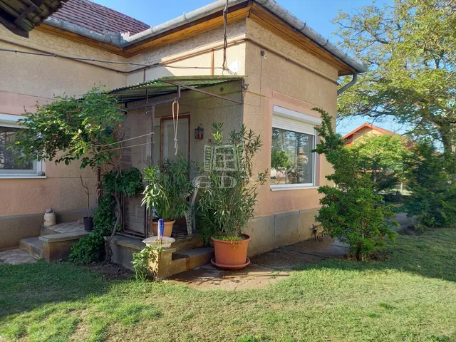 Eladó ház Bordány 77 nm