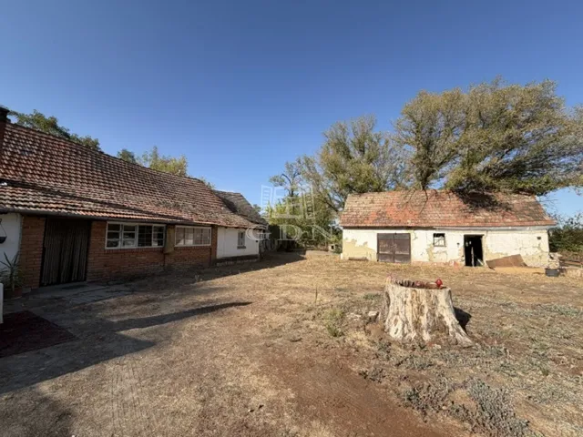 Eladó mezőgazdasági ingatlan Szatymaz 110 nm