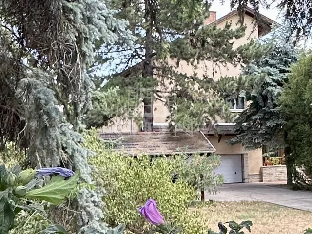 Eladó ház Érd, Parkváros 420 nm