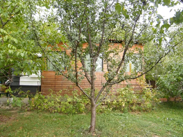 Eladó telek Budakeszi, Nagyszénászug 610 nm