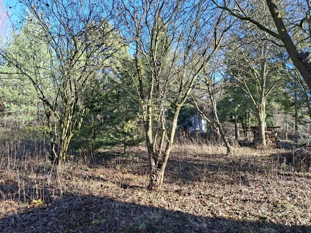 Eladó telek Budakeszi, Nagyszénászug 743 nm