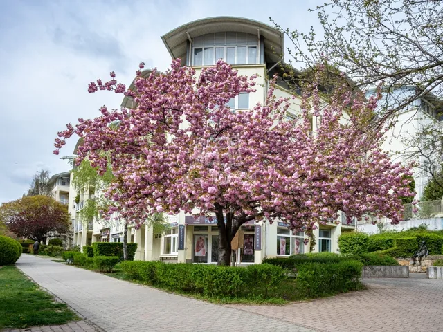 Eladó lakás Budapest XI. kerület, Sasad-Sashegy XI. ker. 67 nm