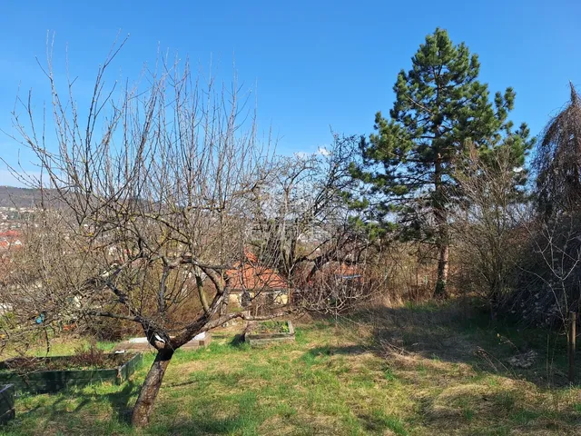 Eladó telek Nagykovácsi 700 nm