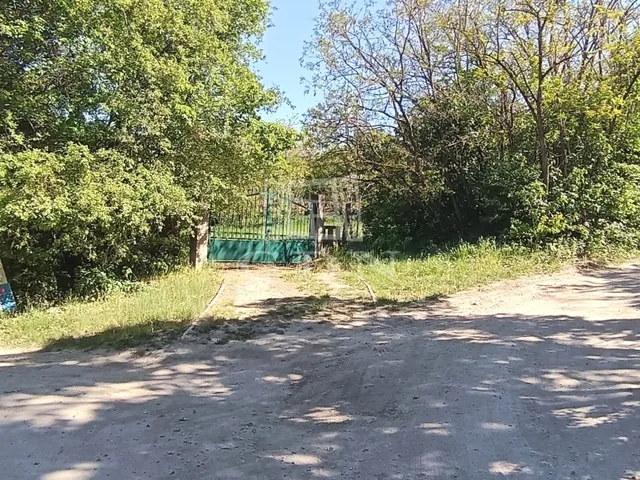 Eladó telek Budapest XI. kerület, Kamaraerdő 5000 nm