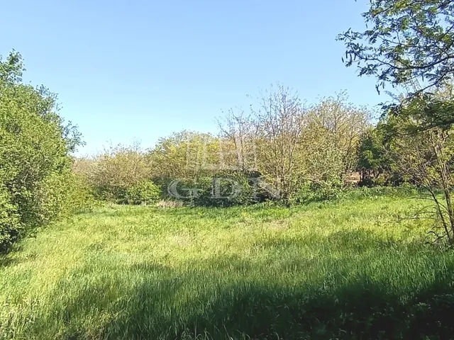 Eladó telek Budapest XI. kerület, Kamaraerdő 5000 nm