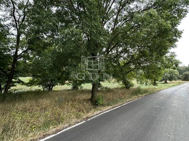 Eladó telek Sóskút 569 nm