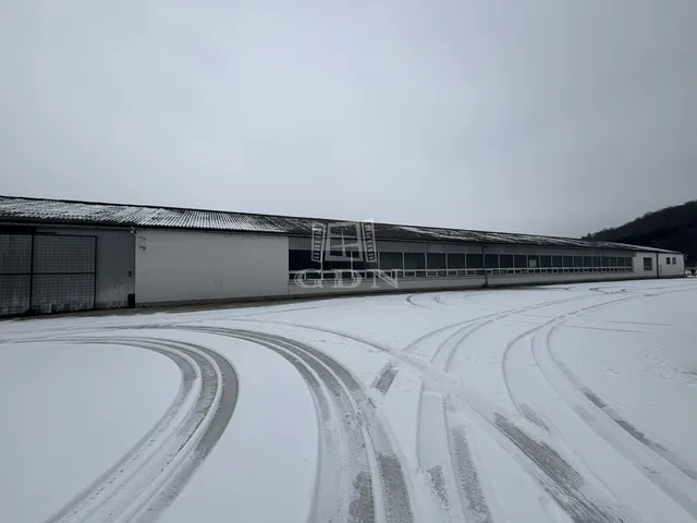 Kiadó kereskedelmi és ipari ingatlan Szakonyfalu 1800 nm