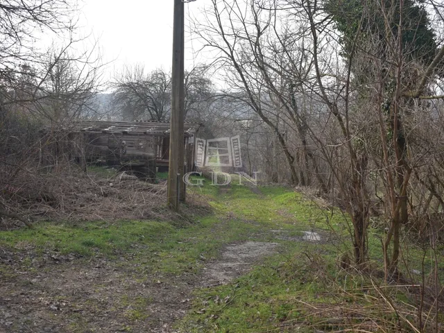 Eladó mezőgazdasági ingatlan Sümeg 2798 nm