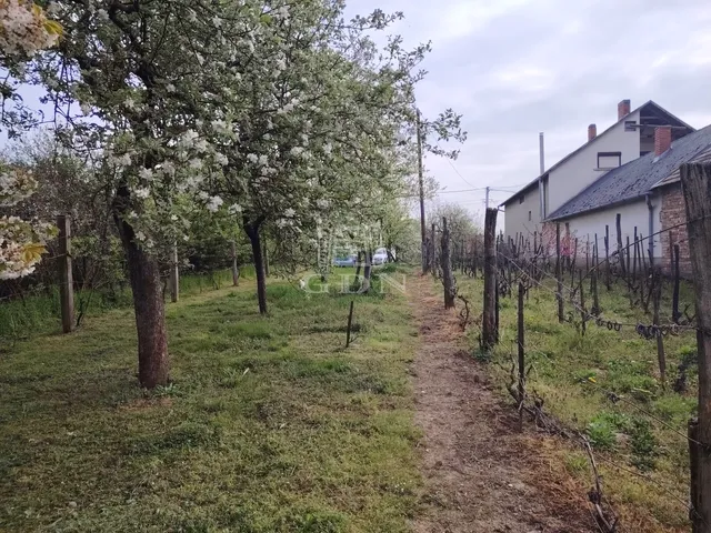 Eladó telek Vasvár 1950 nm