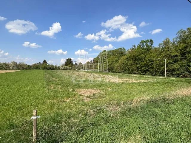 Eladó ház Nemeskolta 135 nm