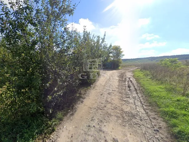 Eladó telek Domony 550 nm