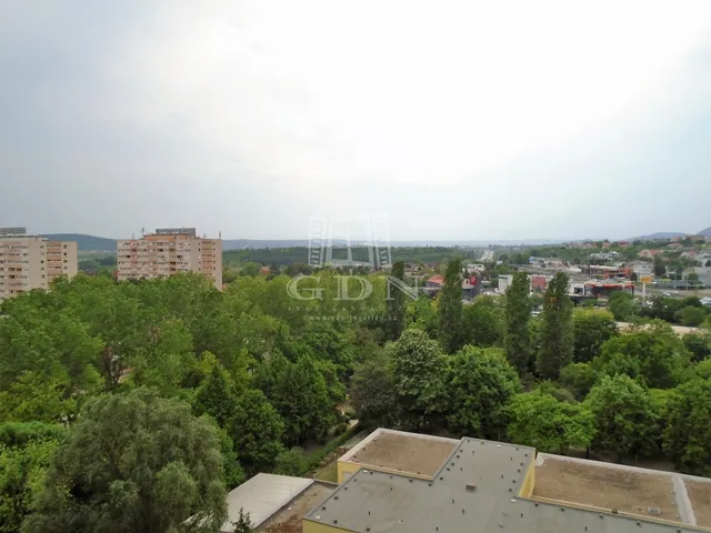 Kiadó lakás Budapest XI. kerület 49 nm