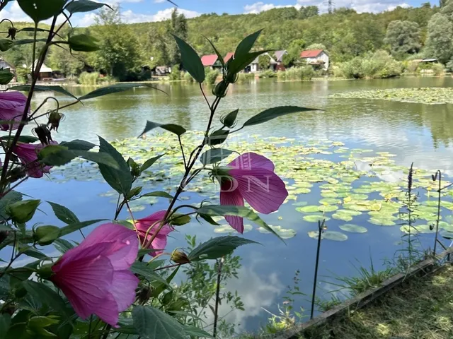 Eladó mezőgazdasági ingatlan Pécel 44 nm