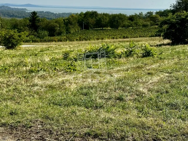 Eladó mezőgazdasági ingatlan Balatonederics 5918 nm