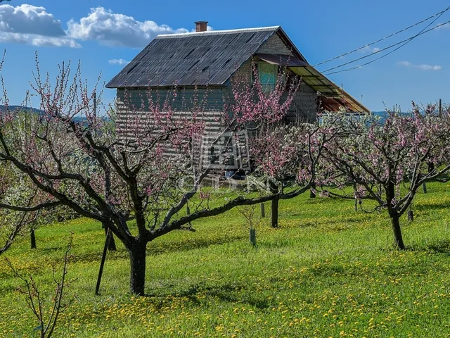 Eladó mezőgazdasági ingatlan Edelény 3714 nm