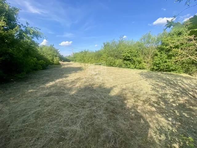 Eladó telek Budaörs, Budaörsi Kamaraerdő 800 nm