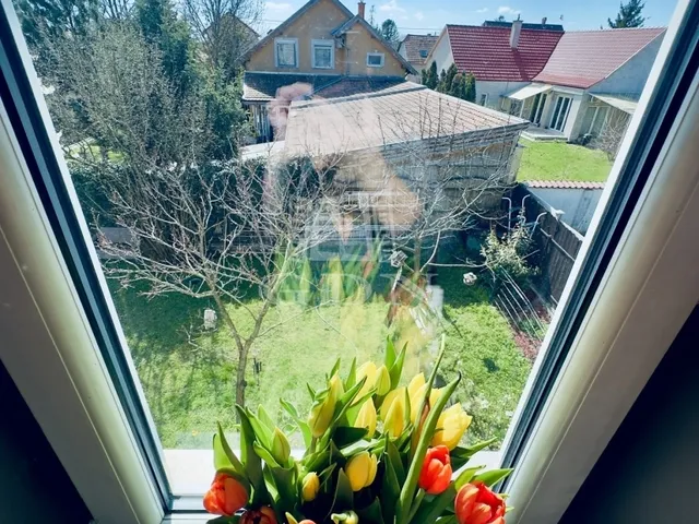 Eladó ház Fót 261 nm