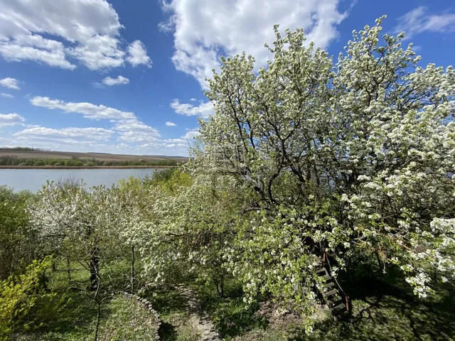 Eladó ház Biatorbágy 180 nm