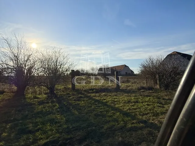 Eladó mezőgazdasági ingatlan Sárbogárd 89000 nm