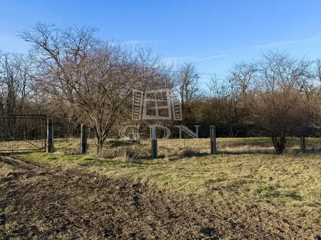 Eladó mezőgazdasági ingatlan Sárbogárd 89000 nm