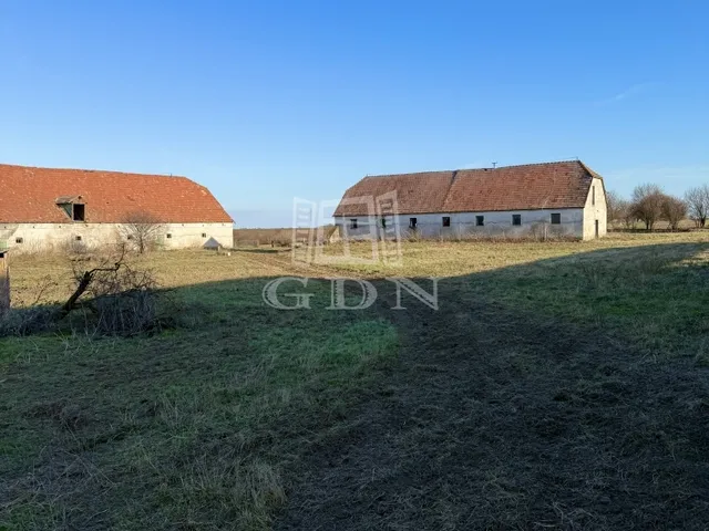 Eladó mezőgazdasági ingatlan Sárbogárd 89000 nm