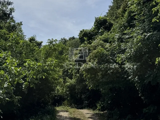 Eladó telek Budapest II. kerület, Máriaremete 561 nm
