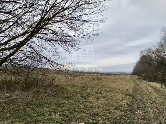 Eladó mezőgazdasági ingatlan Veresegyház 2041 nm